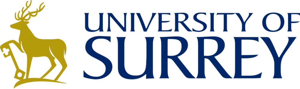 University of surrey